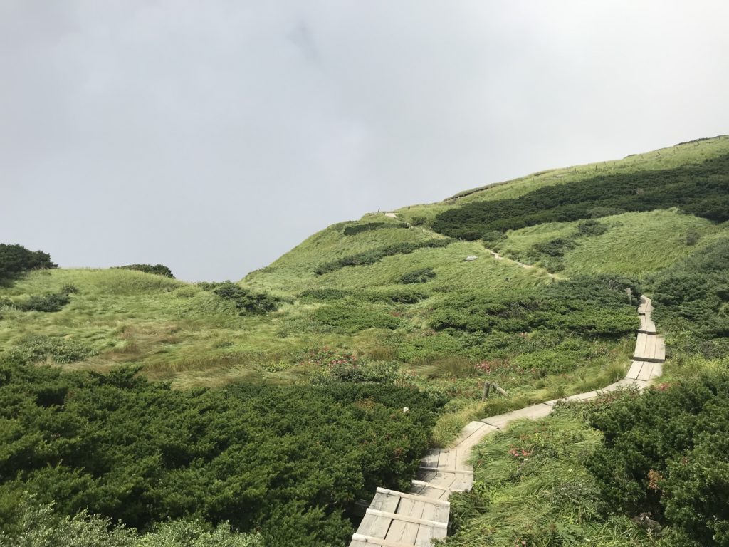 Top of Mount Daisen